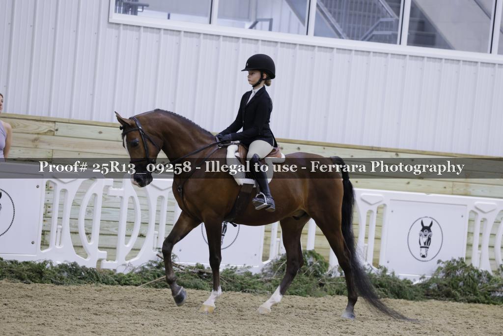 Proof 25R13_09258
