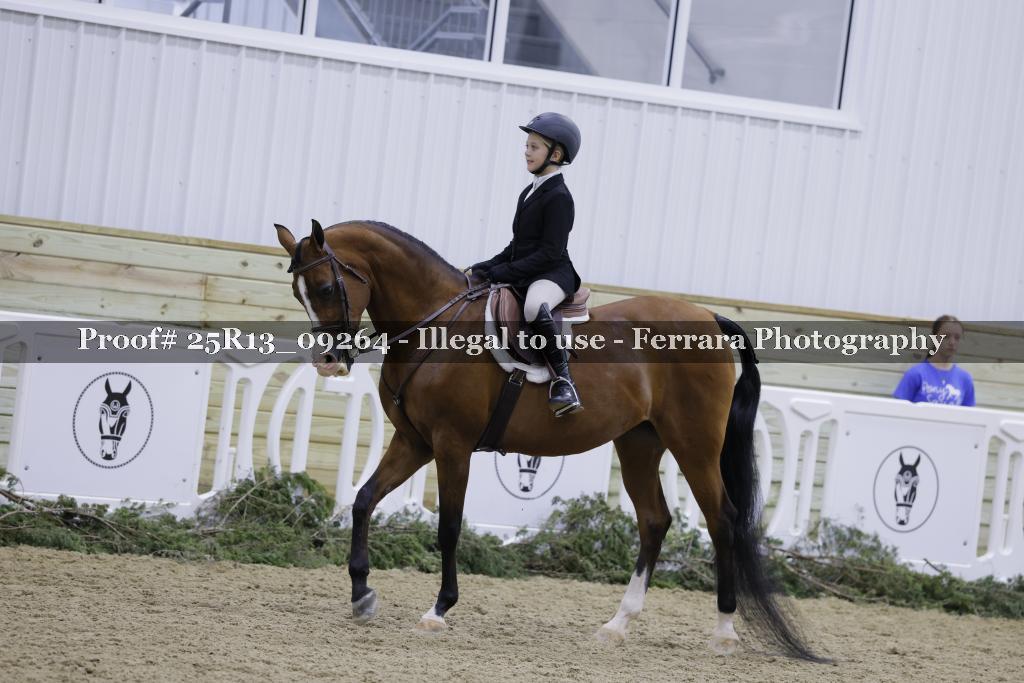 Proof 25R13_09264