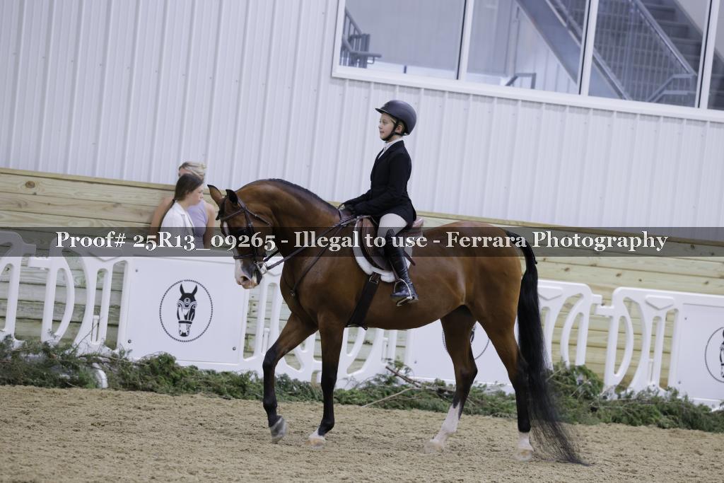 Proof 25R13_09265