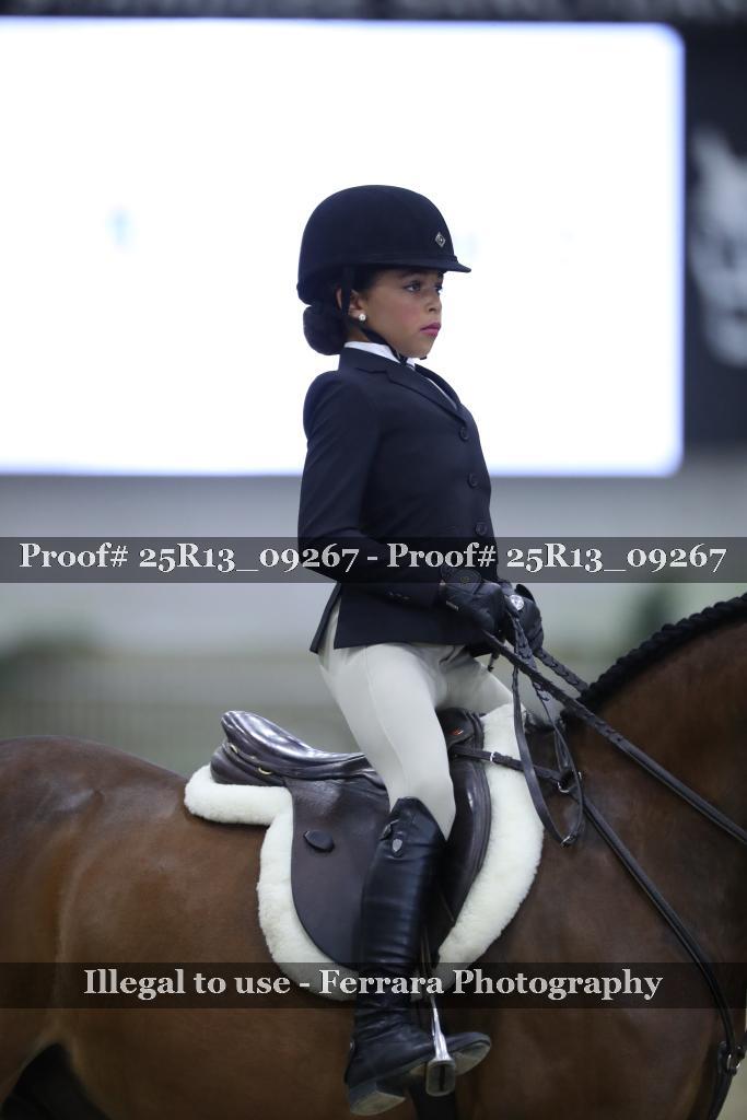 Proof 25R13_09267