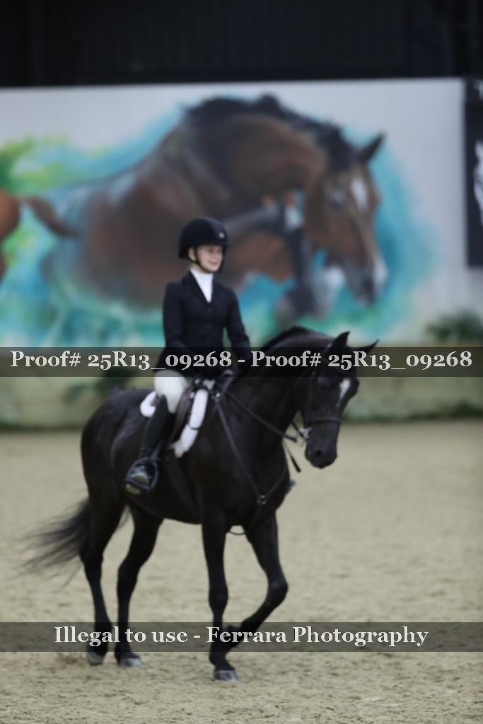 Proof 25R13_09268