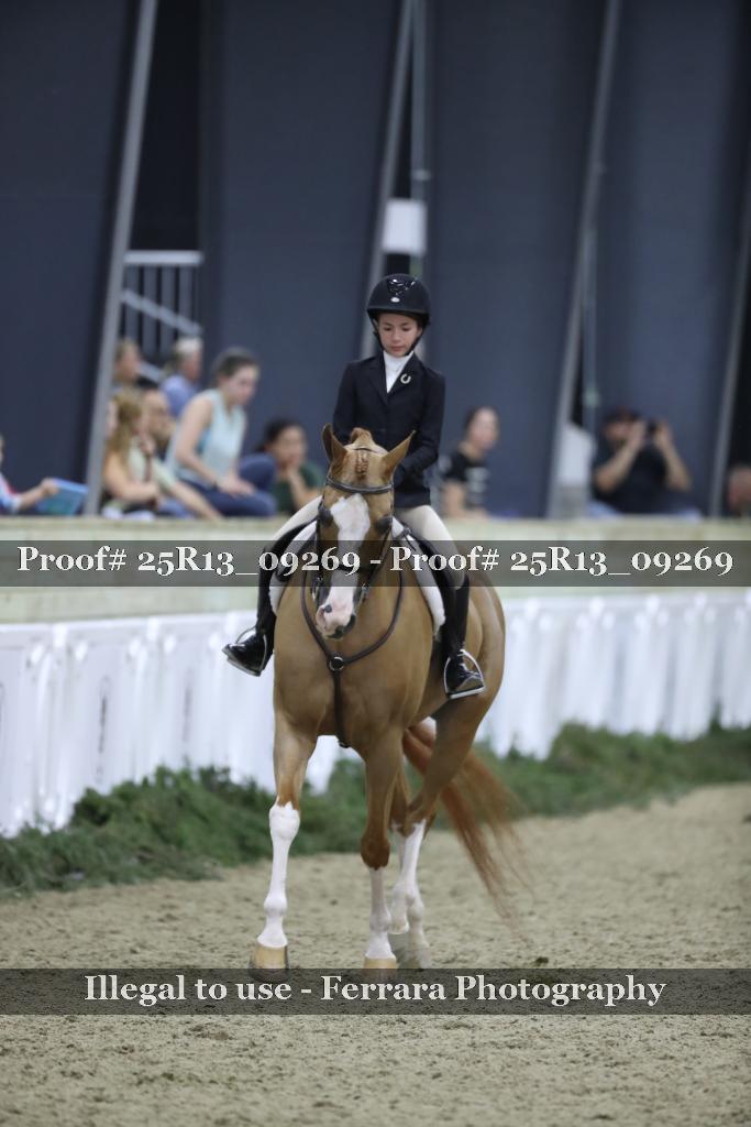 Proof 25R13_09269