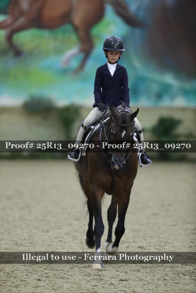 Proof 25R13_09270