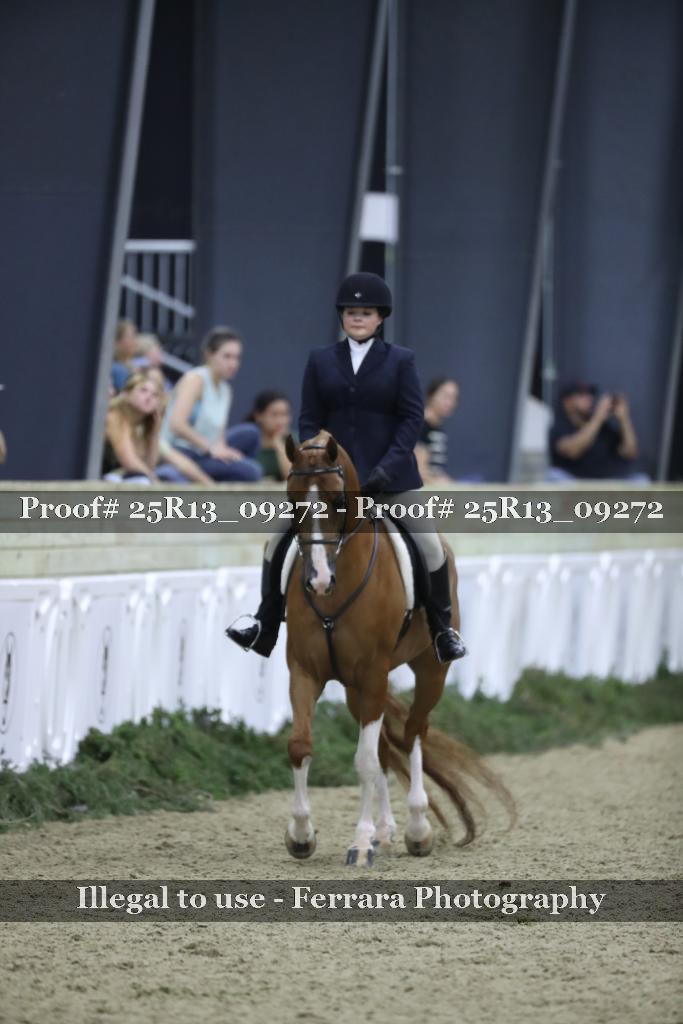 Proof 25R13_09272