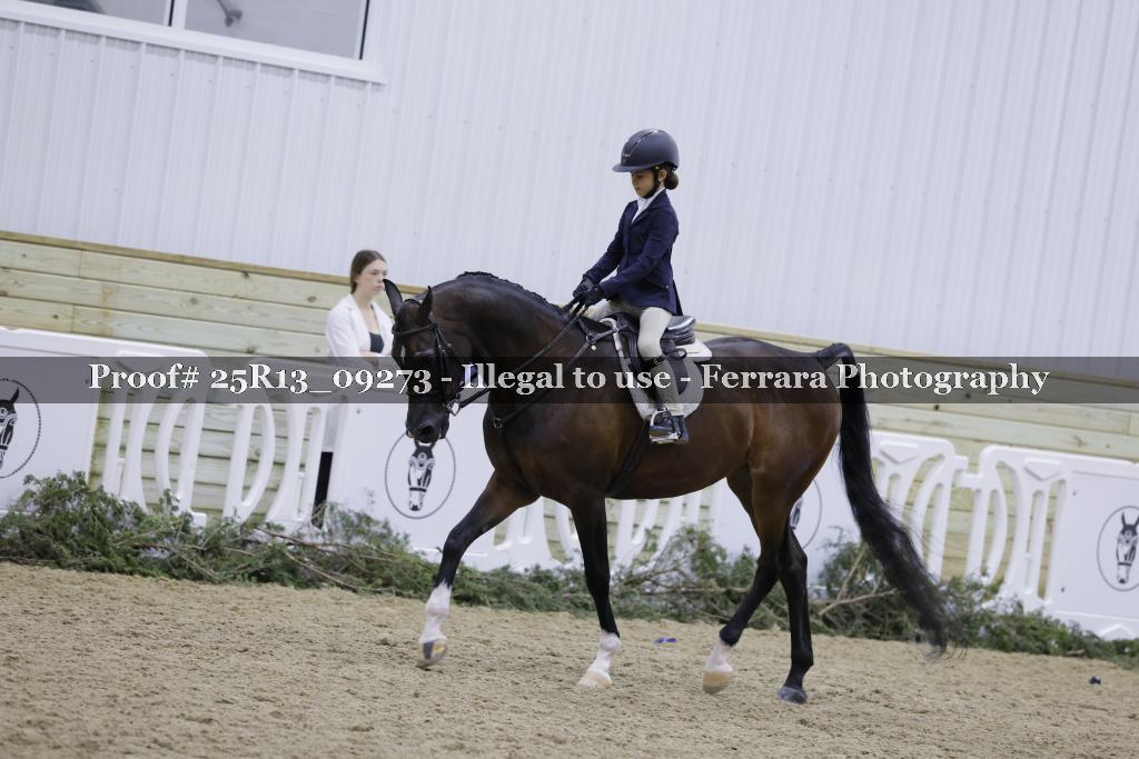 Proof 25R13_09273
