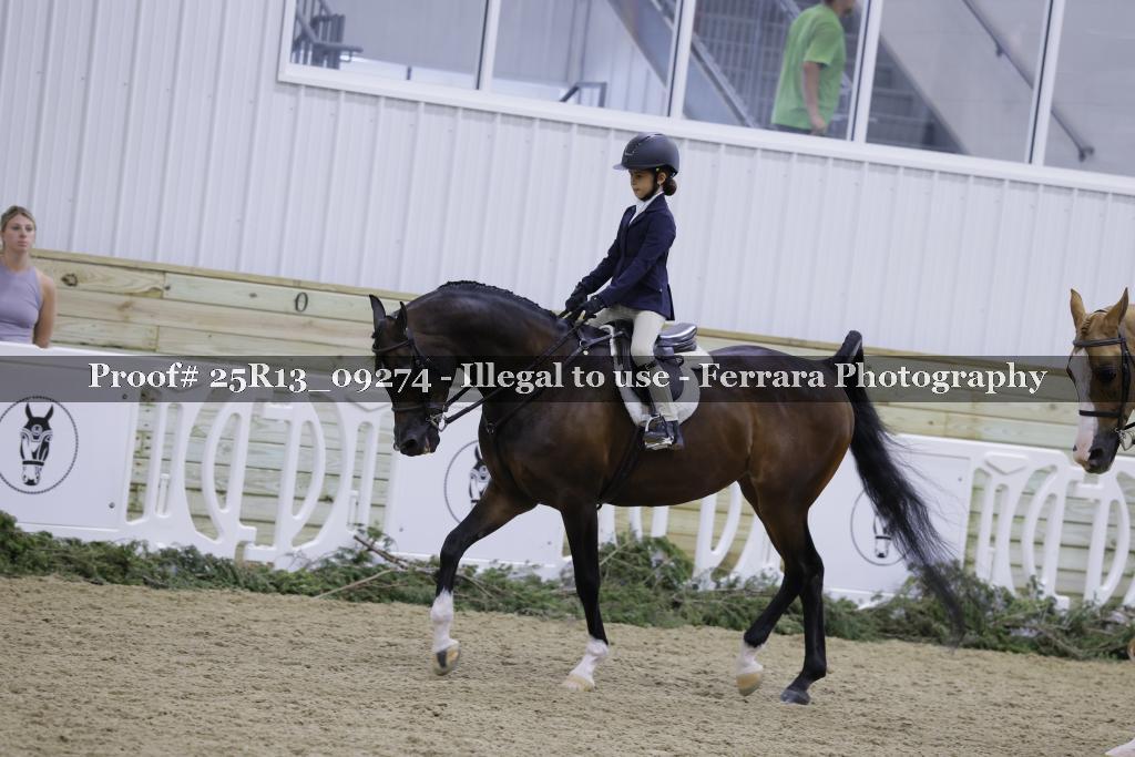 Proof 25R13_09274