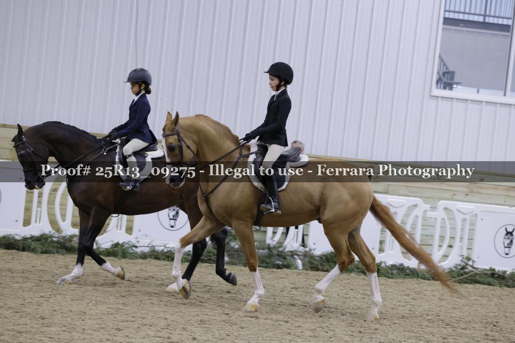 Proof 25R13_09275