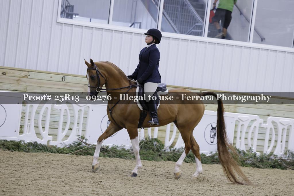 Proof 25R13_09276