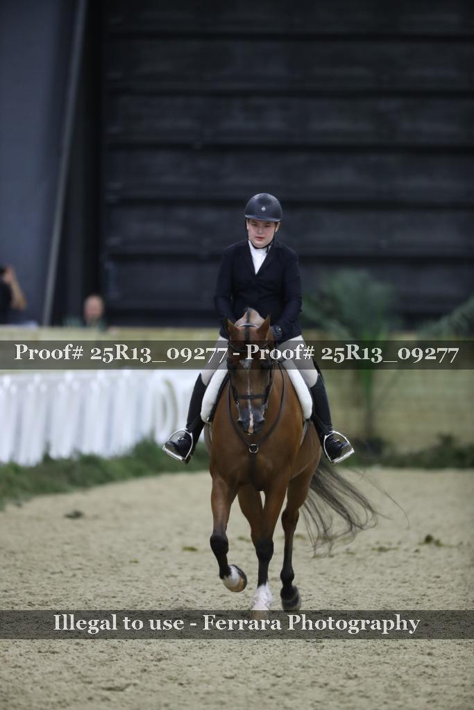 Proof 25R13_09277