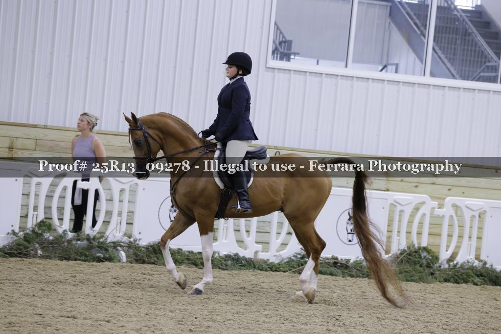 Proof 25R13_09278