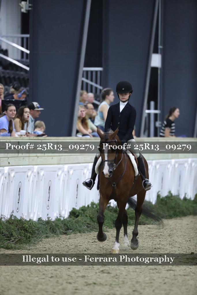 Proof 25R13_09279