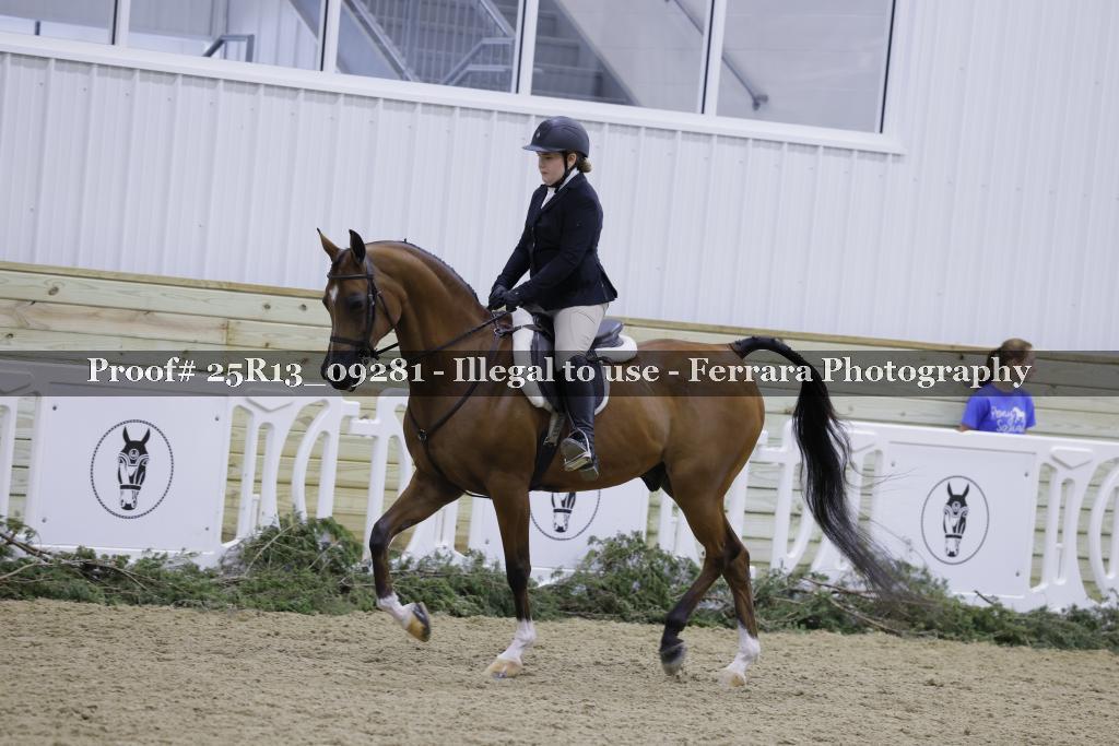 Proof 25R13_09281