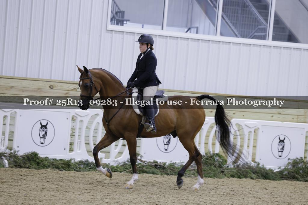 Proof 25R13_09283