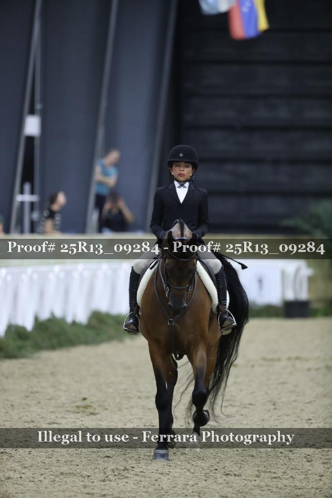 Proof 25R13_09284