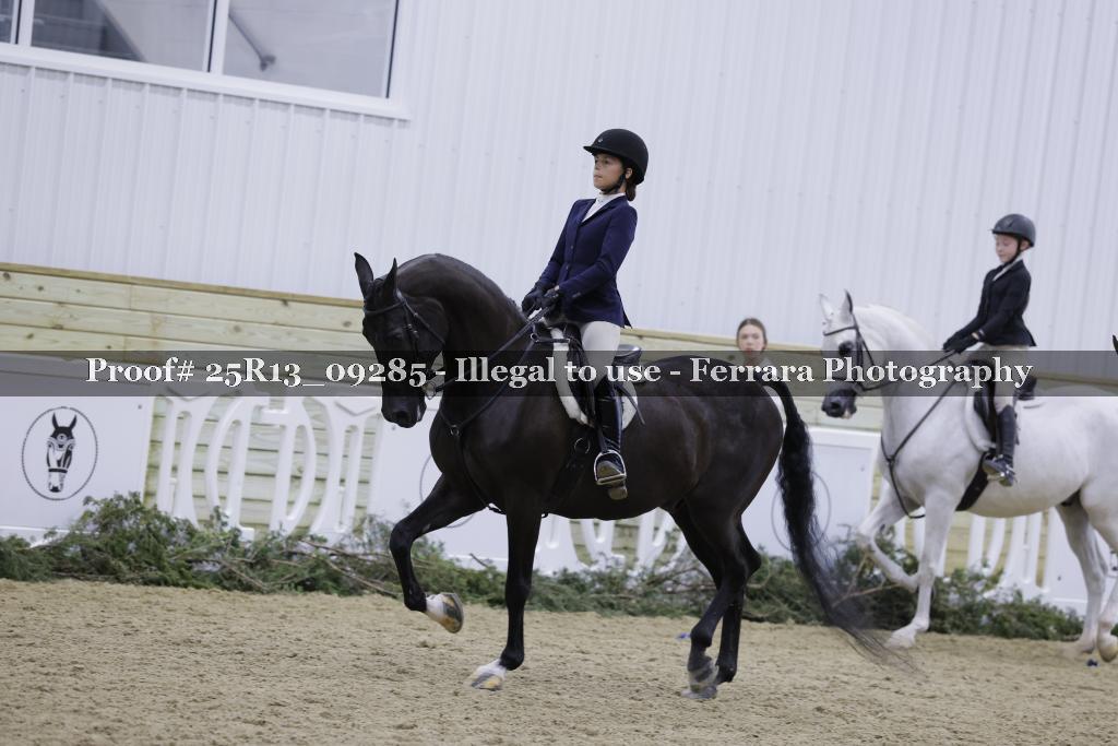 Proof 25R13_09285
