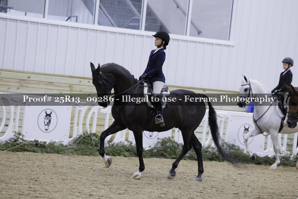 Proof 25R13_09286