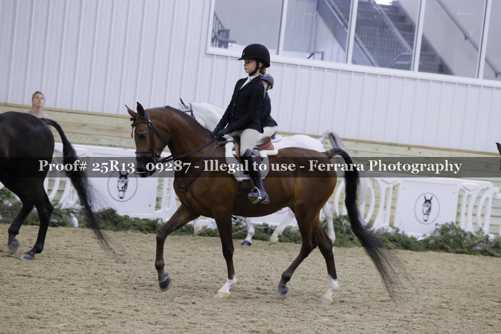 Proof 25R13_09287