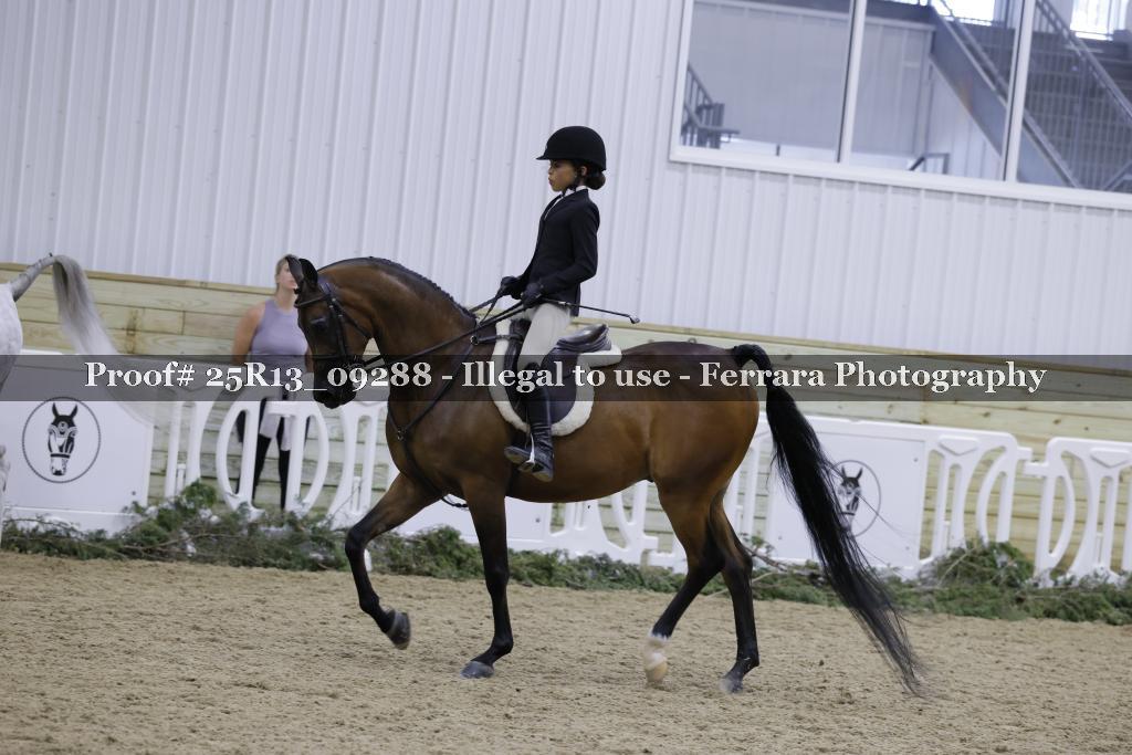 Proof 25R13_09288