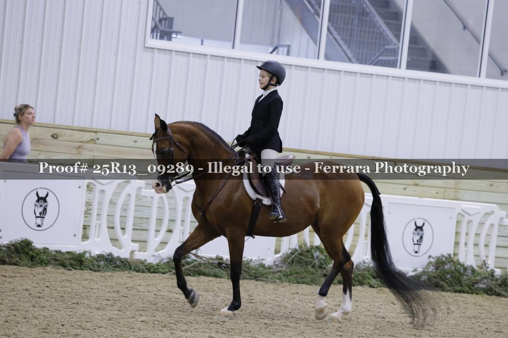 Proof 25R13_09289