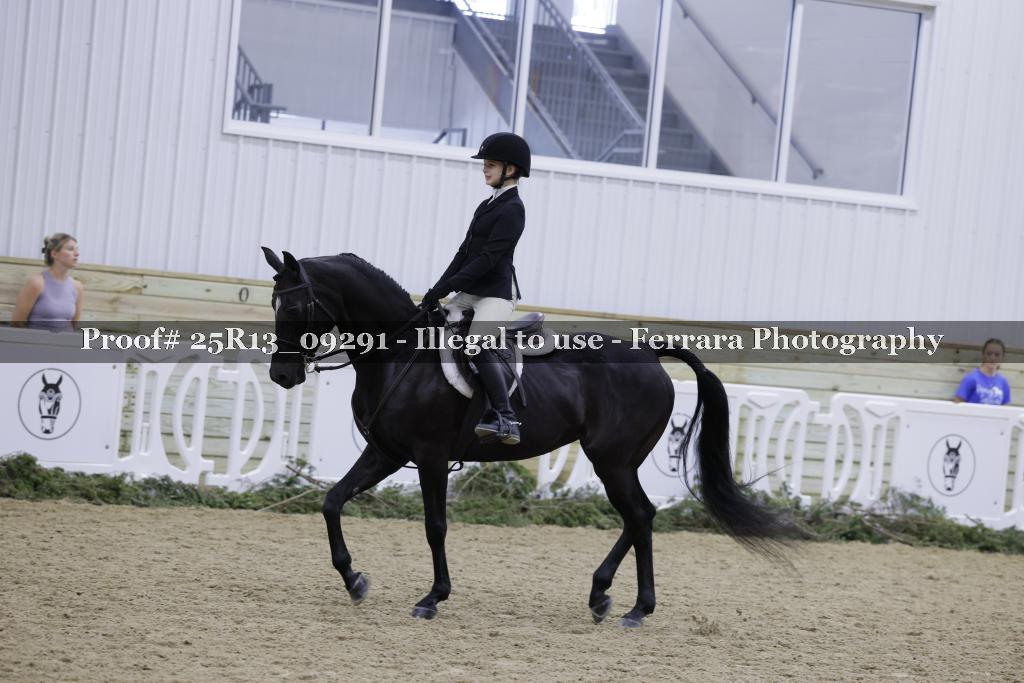 Proof 25R13_09291