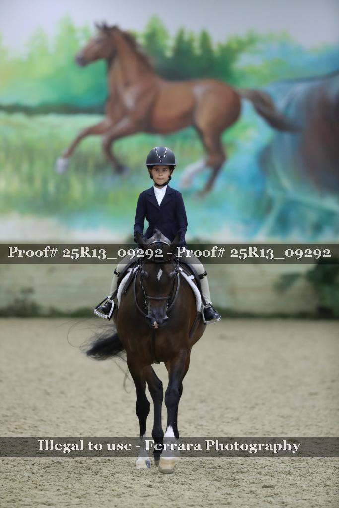 Proof 25R13_09292