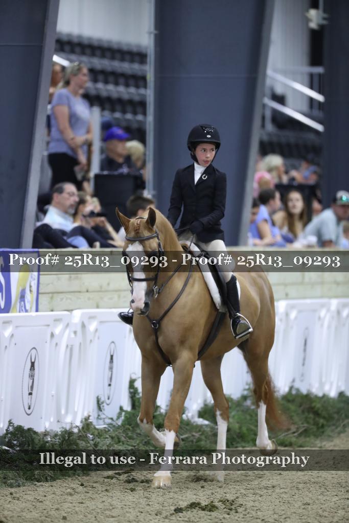 Proof 25R13_09293
