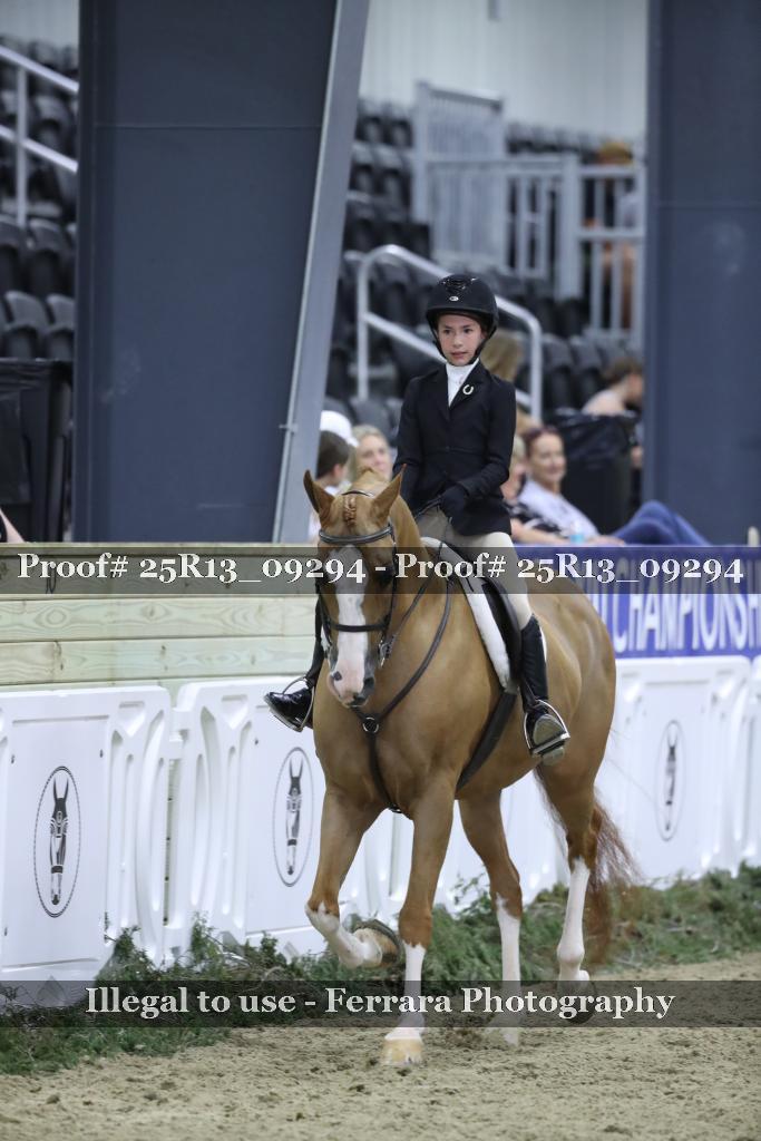 Proof 25R13_09294