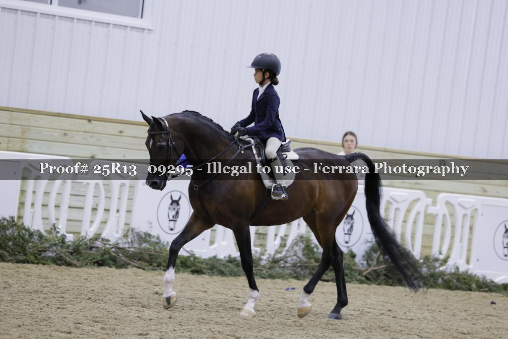 Proof 25R13_09295