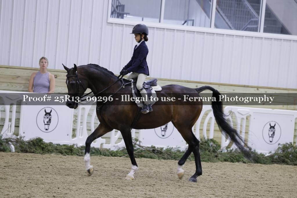 Proof 25R13_09296
