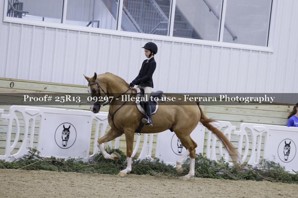 Proof 25R13_09297