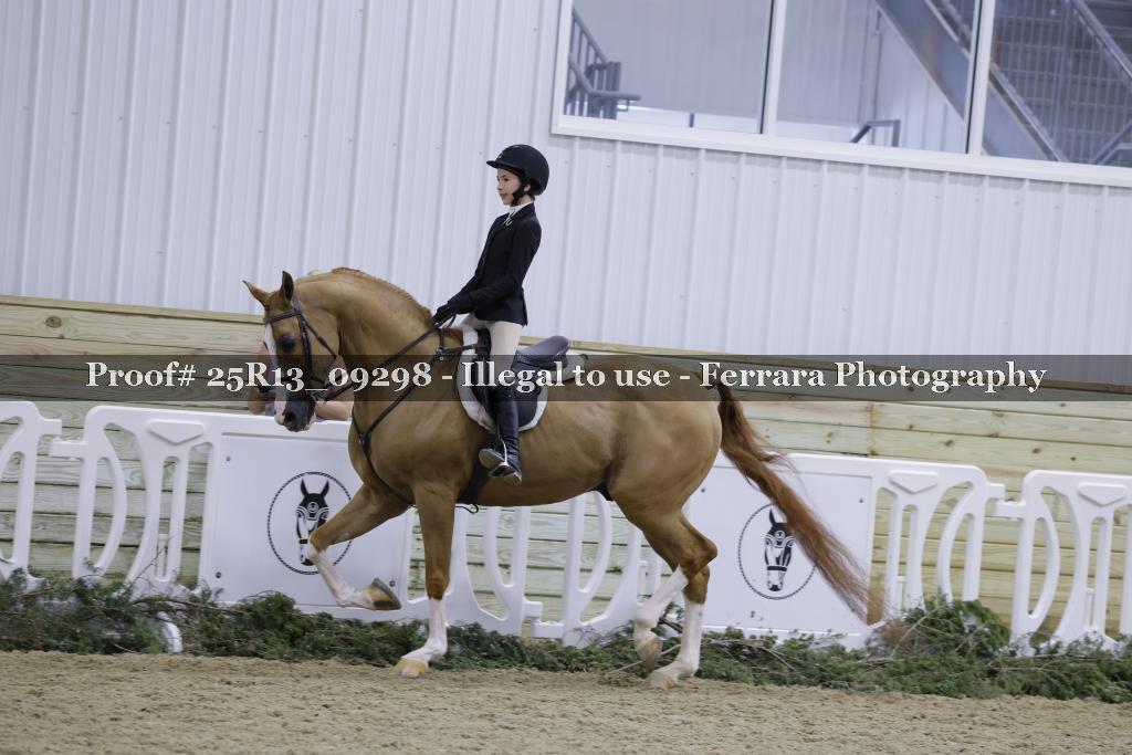 Proof 25R13_09298