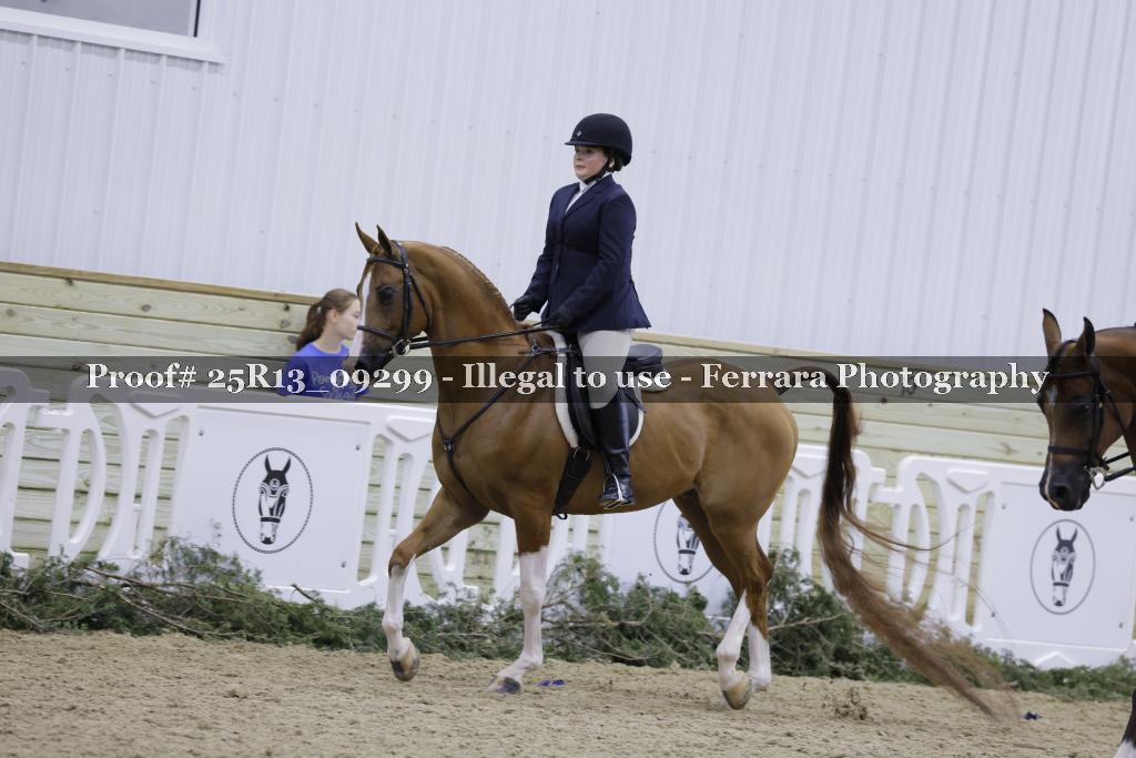 Proof 25R13_09299