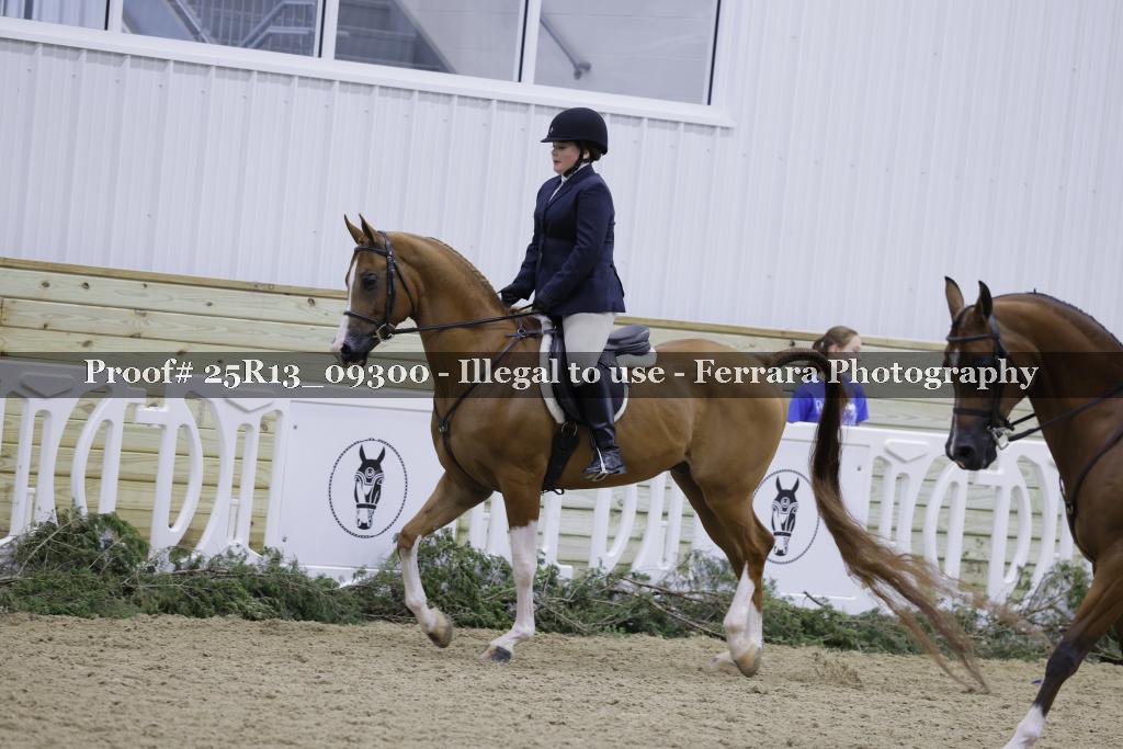 Proof 25R13_09300