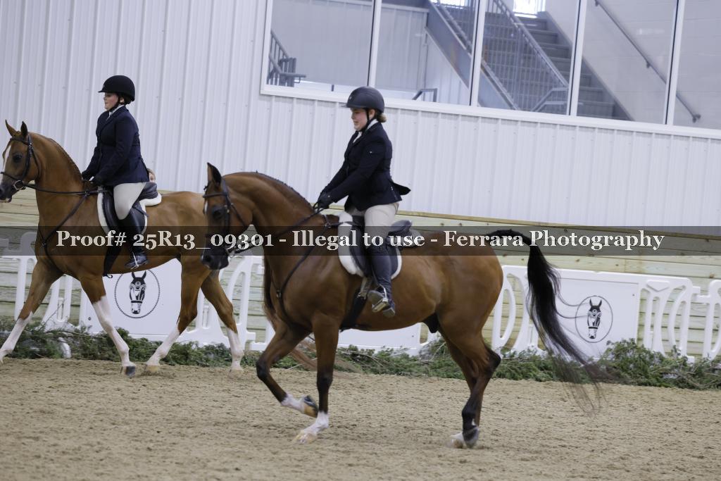 Proof 25R13_09301