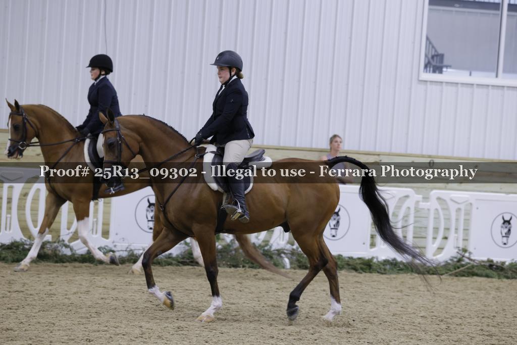 Proof 25R13_09302