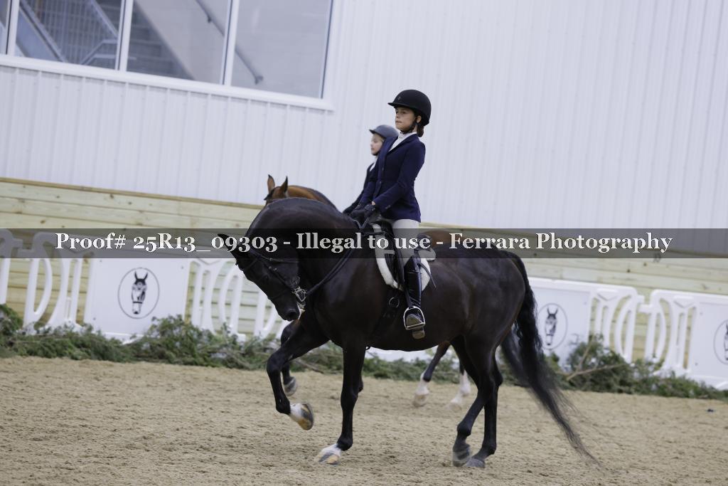 Proof 25R13_09303