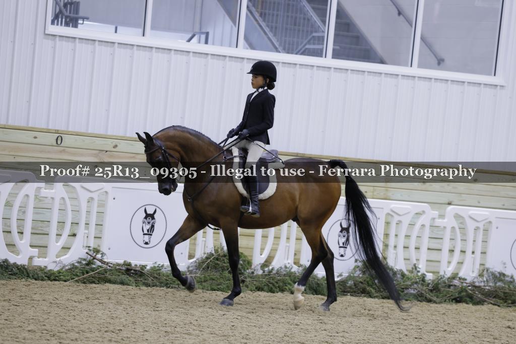 Proof 25R13_09305