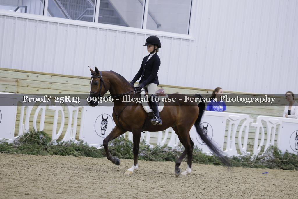 Proof 25R13_09306