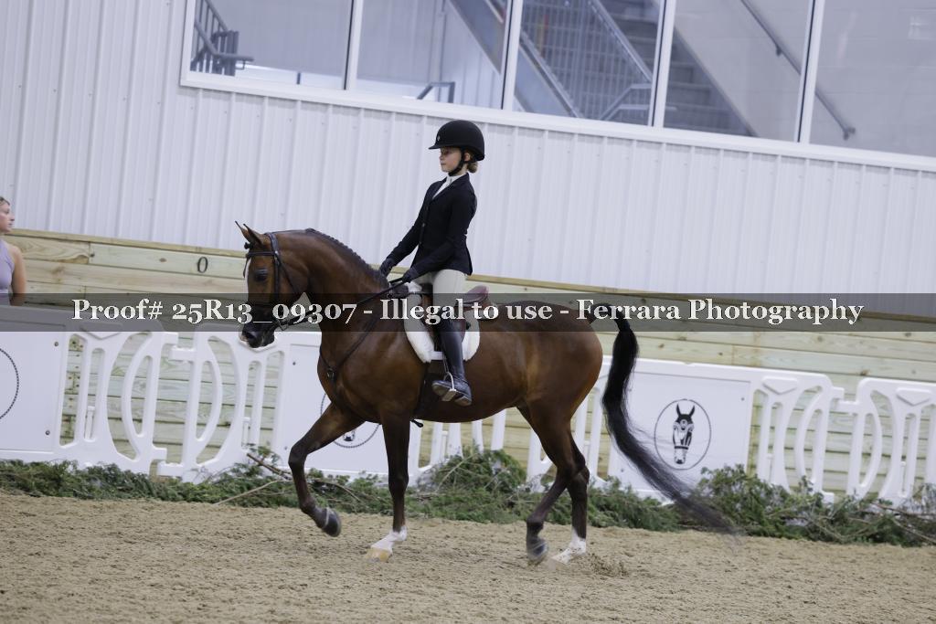 Proof 25R13_09307