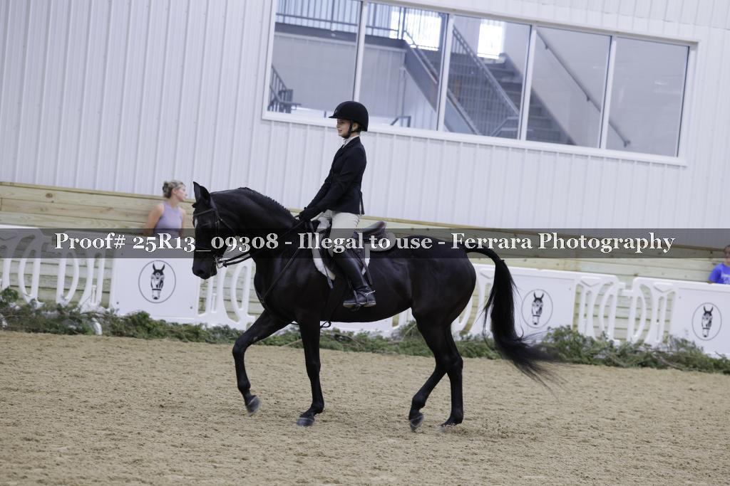 Proof 25R13_09308