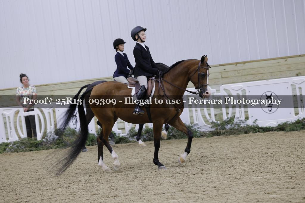Proof 25R13_09309