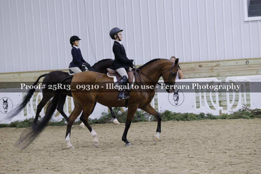 Proof 25R13_09310