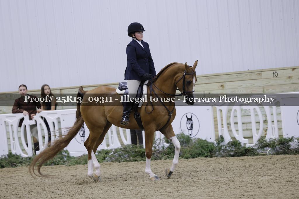 Proof 25R13_09311