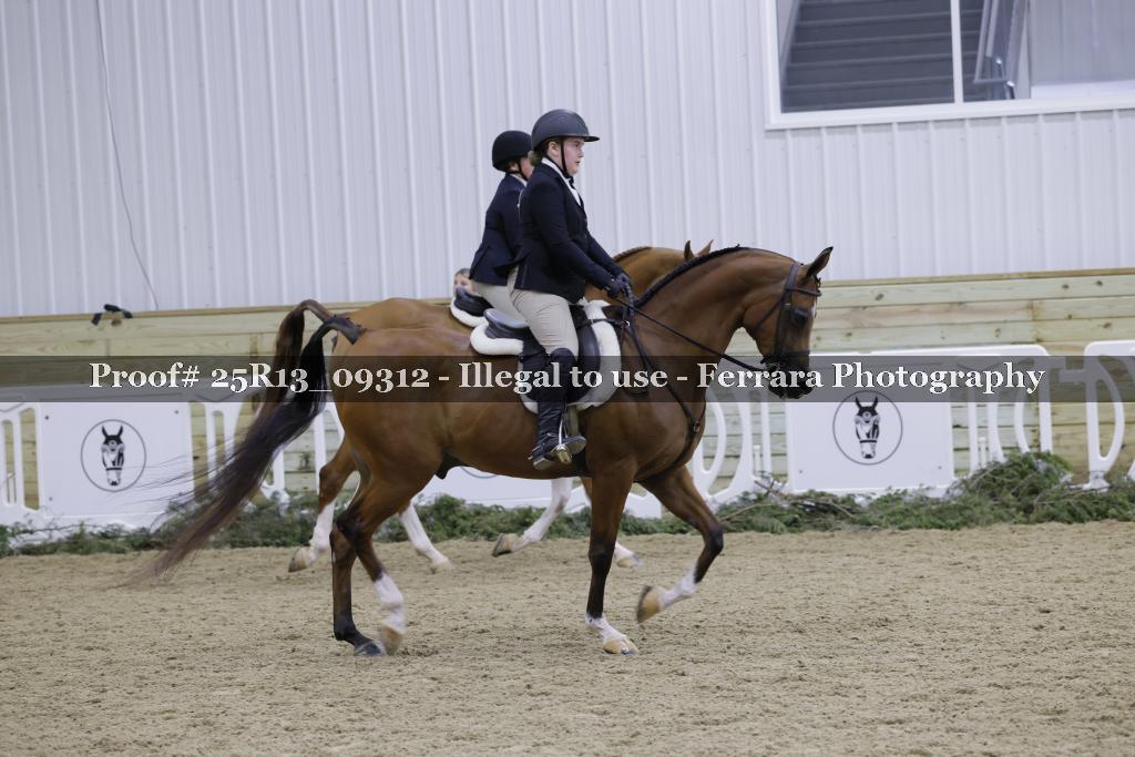 Proof 25R13_09312