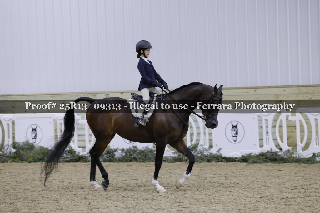 Proof 25R13_09313