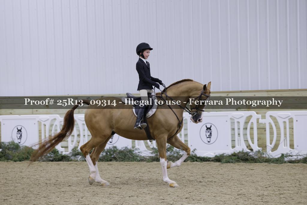 Proof 25R13_09314