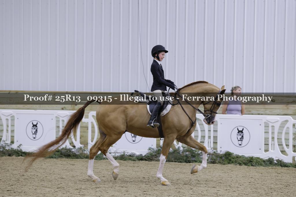 Proof 25R13_09315