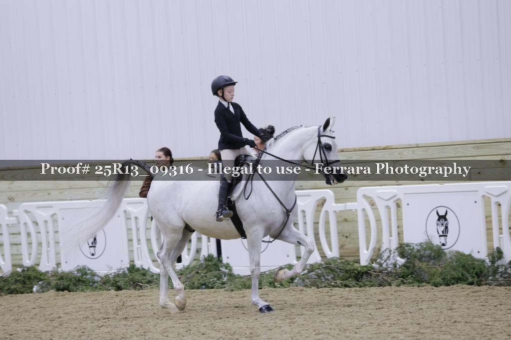 Proof 25R13_09316