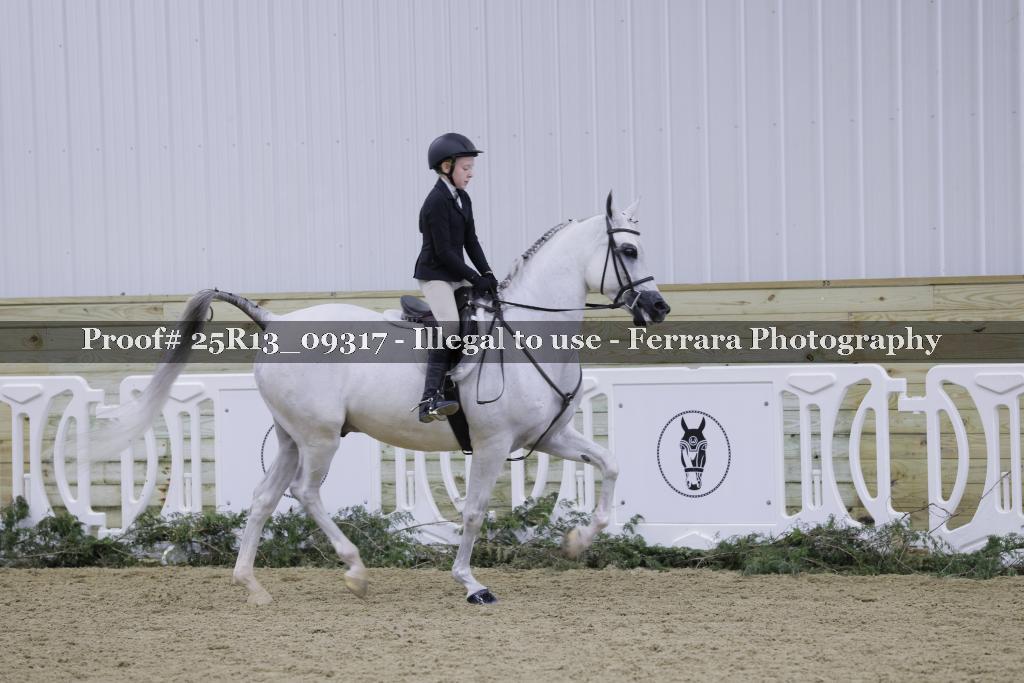 Proof 25R13_09317