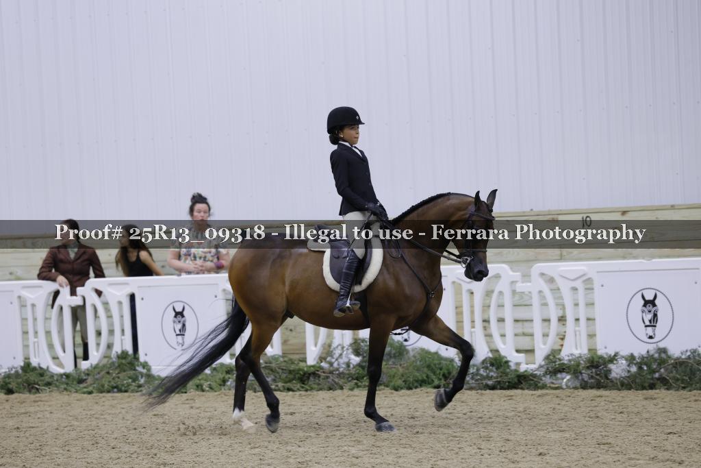 Proof 25R13_09318